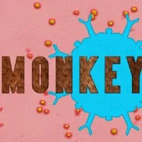 Telangana Govt Issues Monkeypox Guidlines