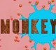Telangana Govt Issues Monkeypox Guidlines