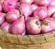 Centre builds record reserve of 250000 tonnes of onions