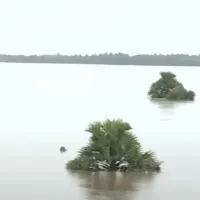 godavari flood slowly decreasing at dhavaleswaram