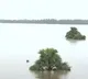 godavari flood slowly decreasing at dhavaleswaram