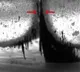 Swarm of shapeshifting microrobots brush rinse floss your teeth