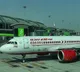 Bird spotted in Air India plane in midair
