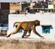 Monkey throws toddler from roof top