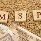 Govt sets up panel to make MSP more effective, transparent