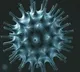 India records 15528 new COVID19 cases