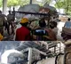 Cyberabad police destroys drugs worth Rs 2.5 cr