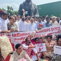 TRS MPs protests in the Parliament premises over the GST rates increase