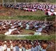 girijans prayers for draupadi murmu victory