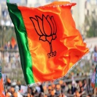 BJP to study cross-voting pattern during Prez election