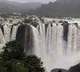 Package tour from Bengaluru to Jog falls