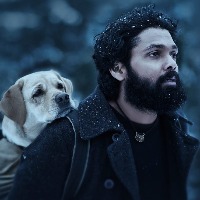 Challenging yet rewarding: '777 Charlie' director on shooting with a dog