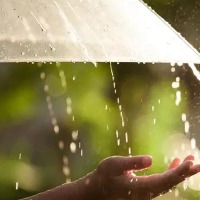 Health tips: Precautions to be taken to keep infections at bay during rainy season