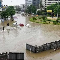 Crocodiles enter residential areas in Vadodara due to heavy rainfall