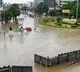 Crocodiles enter residential areas in Vadodara due to heavy rainfall