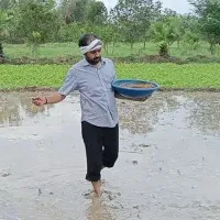MLA Alla Ramakrishna Reddy works with labour in his own fields