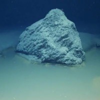 Death pool in Red Sea: If the water swallows the fish? Mystery unravelled