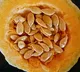 Why should you add pumpkin seeds to your Diet