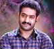 Ntr in Koratala movie