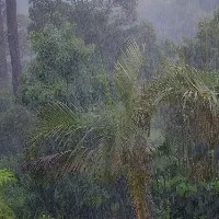 Heavy to Very Heavy Rainfall Warning during 5 days for Telangana State