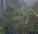 Heavy to Very Heavy Rainfall Warning during 5 days for Telangana State