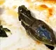 Snake Head appeared in mid air meal in a Turkish airlines plane