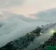 Nagaland minister shares video of clouds floating down valley