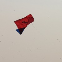 Chinese Manjha claims 30-yr-old man's life in Delhi