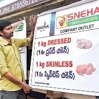 Chicken price crashes by up to 50 percent