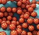 India reports 18313 fresh covid casesand 57 deaths in the last 24 hours