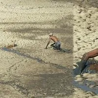 Rea life 'Baahubali' saves Imphala stuck in mud in Zimbabwe; video goes viral