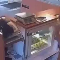 Woman fights off robber with a cleaning cloth at her bakery in Netherlands