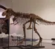 Fierce dinosaur skeleton sells for whopping amount