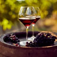 Kerala boy made grape wine by watching youtube and another boy who drank it hospitalized