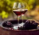 Kerala boy made grape wine by watching youtube and another boy who drank it hospitalized