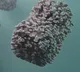 Spain reports 2nd monkeypox related death