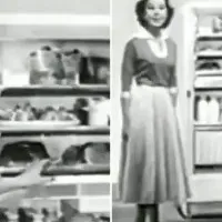 The Internet cannot keep calm over this 66 year old fridge