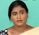 YS Sharmila Fires on TRS Govt