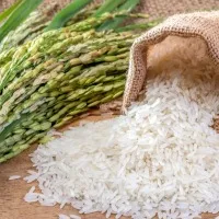 Rice prices increase up to 30 percent due to demand from West Asia Dhaka