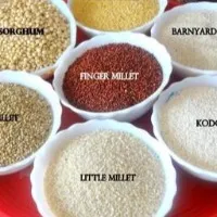Apollo Hospitals serves a range of millet dishes for patients