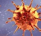 Telangana registered thousand plus corona positive cases in a single day
