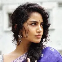 Karthikeya 2 movie update