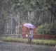 Meteorological department predicts moderate rains in AP tomorrow