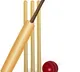 IOC keen on induction cricket in Los Angeles Olympics