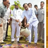 పచ్చదనంతో శోభిల్లుతున్న తెలంగాణ పట్టణాలు