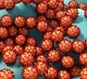 India reports 16167 fresh covid cases