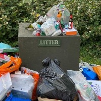 Eliminate the impact of single-use plastic products?