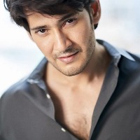 Namrata to Mahesh Babu on b'day: You light up my world like nobody else