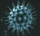 India reports 16299 fresh corona cases
