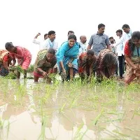 ysrtp chief ys sharmila participates in vari natlu